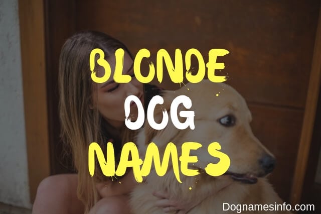 Blonde Dog Names