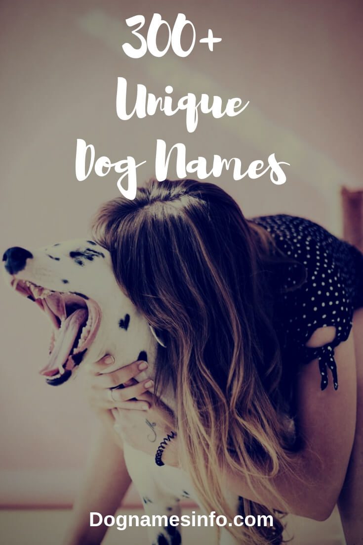 Unique Dog Names Pinterest