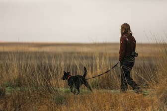 Best Names for Hunting Dogs