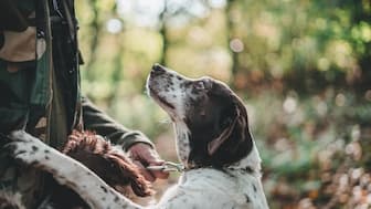 Female hunting Names for Dogs