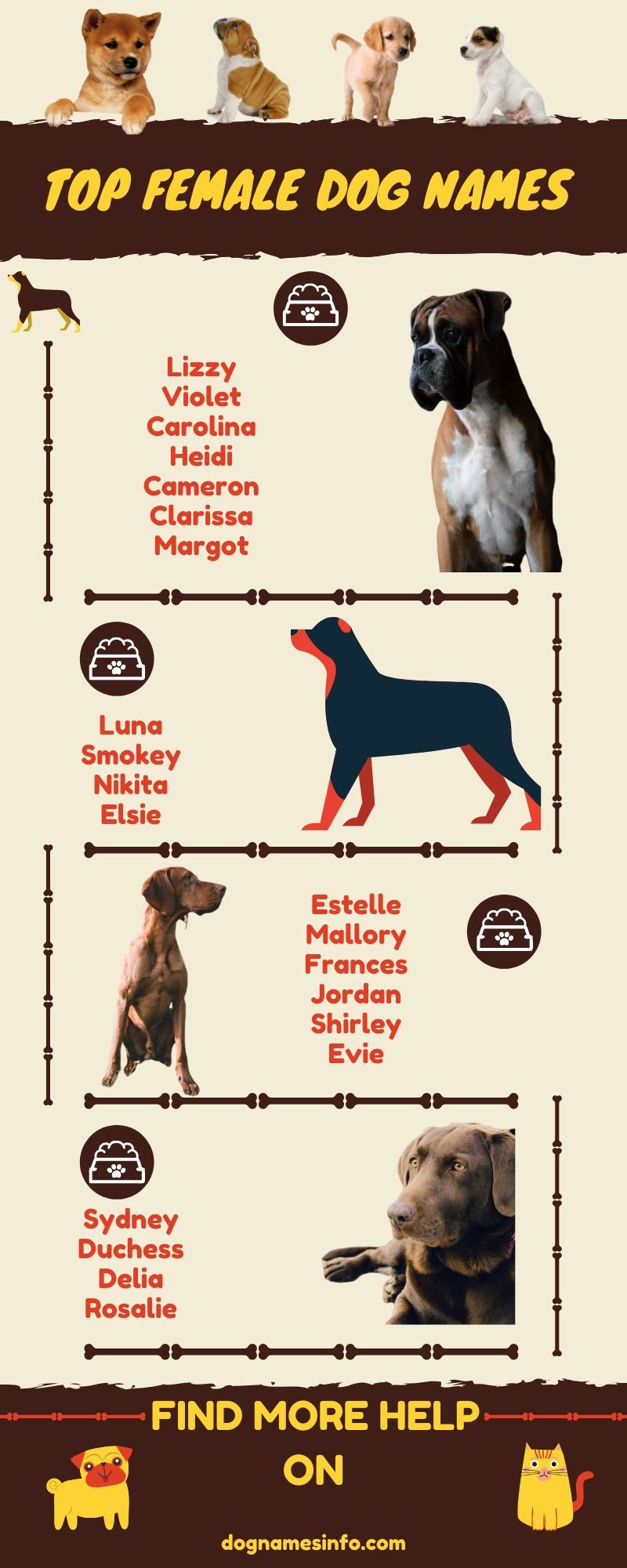 Top Female dog names