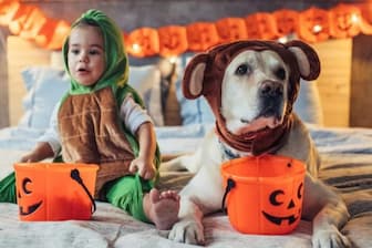 Halloween Holiday Inspired Names for Dogs