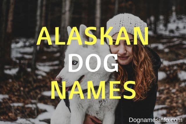 Alaskan Female Dog Names