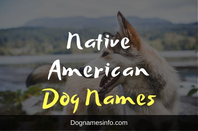 Native American Dog Names