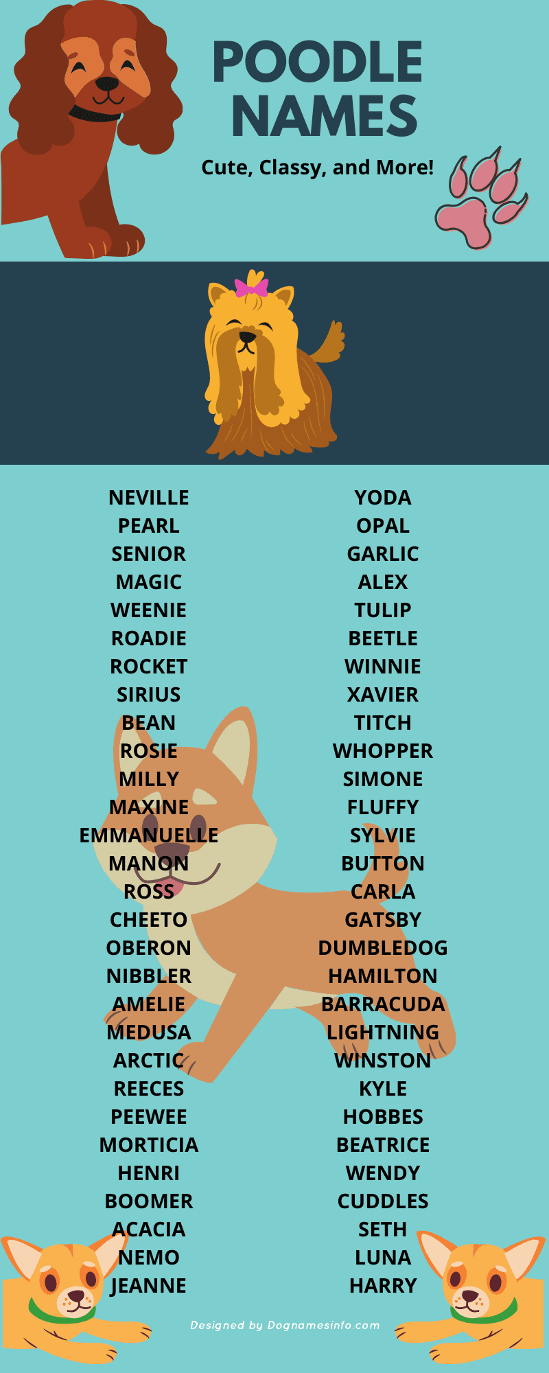 Poodle Dog Names
