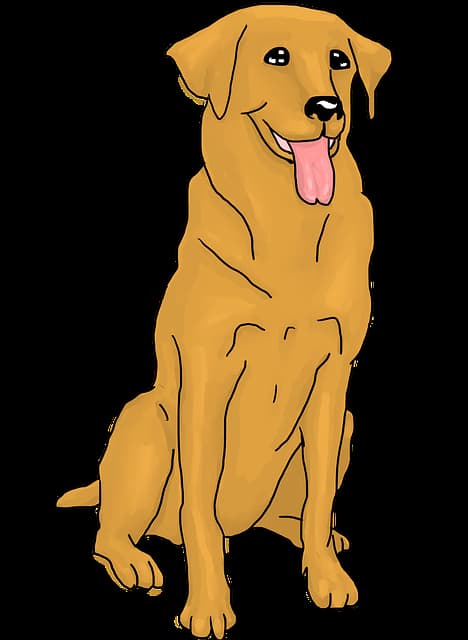 110+ Cartoon Dog Names from Famous Character 2022