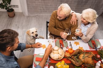Thanksgiving Dog Names for Male and Female Puppies